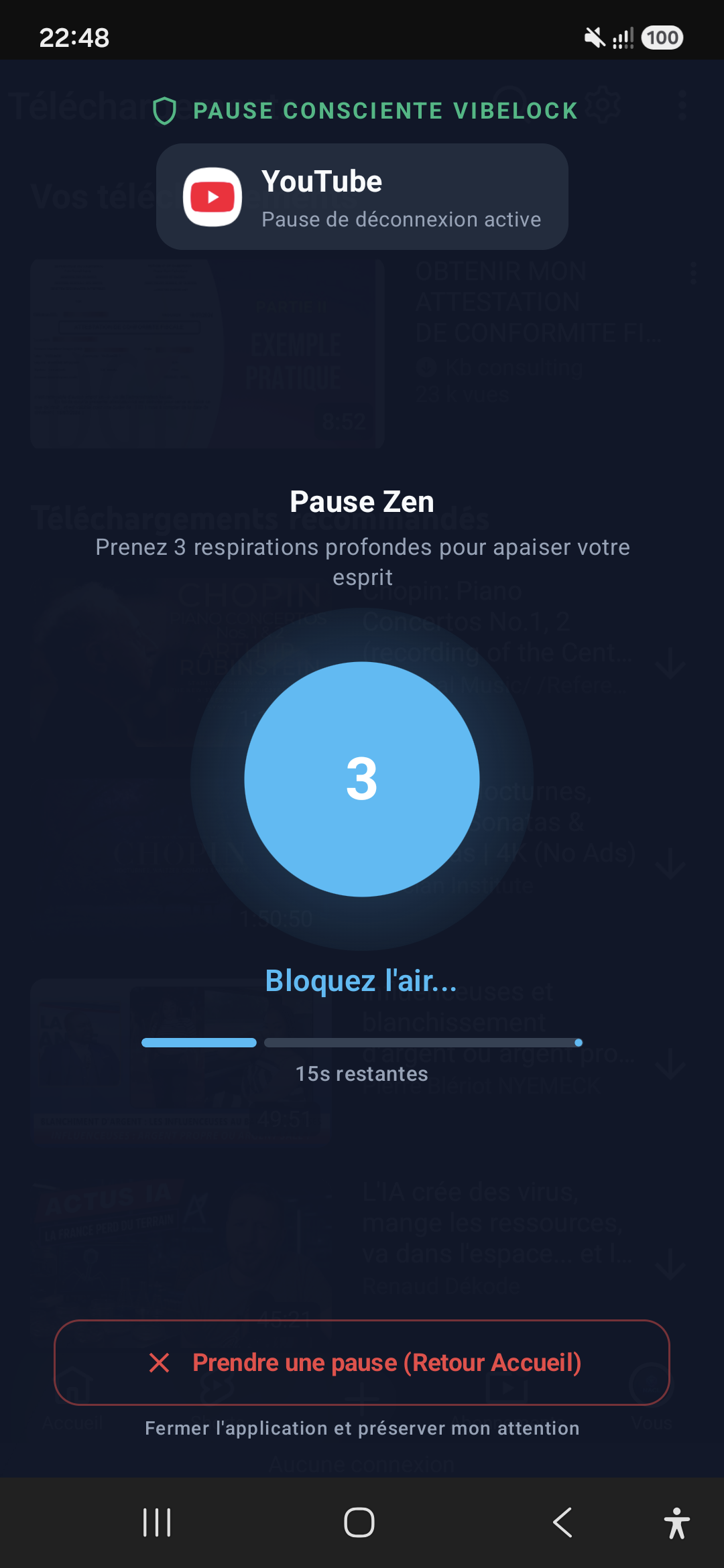 Interface du Sas Zen VibeLock sur smartphone